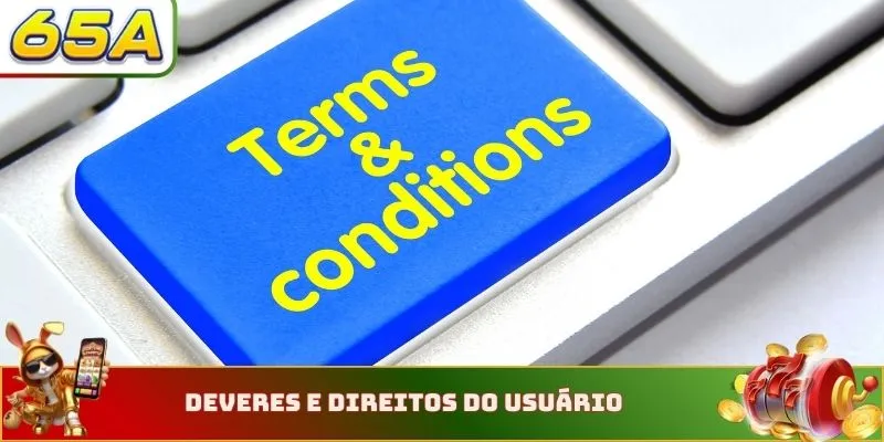 Termos e Condições 2 Deveres e direitos do usuário