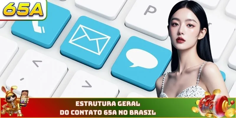 Contato 65A 1 Estrutura geral do contato 65a no brasil